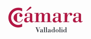 logo camara va